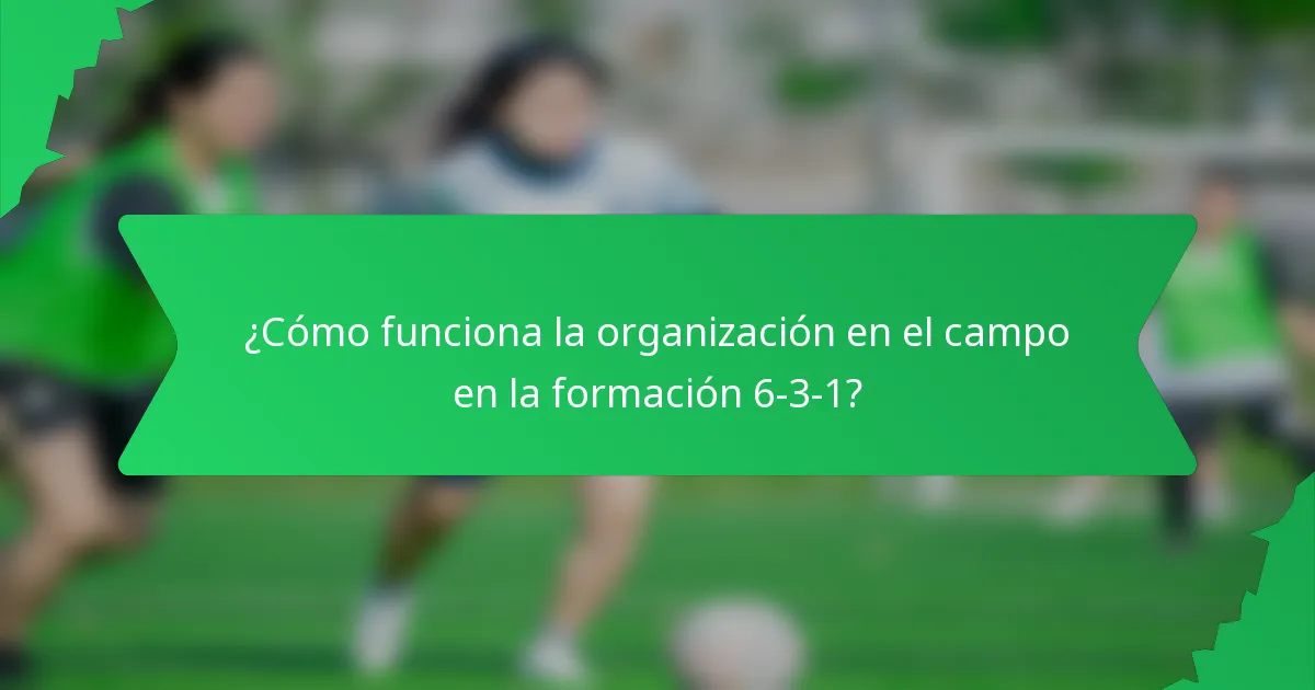 ¿Cómo funciona la organización en el campo en la formación 6-3-1?